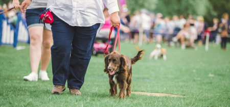 Woof Walk: Waterhall Park