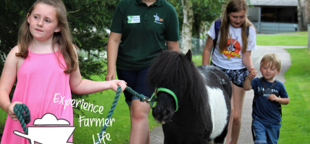 Animal Encounter