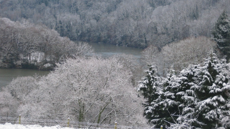 Sharpham House: Christmas Retreat - 5 nights (with Patti Summerville, Ramiro Ortega & Maite Alonso).