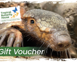 Tropical Butterfly House  Membership and Day Pass Gift Voucher