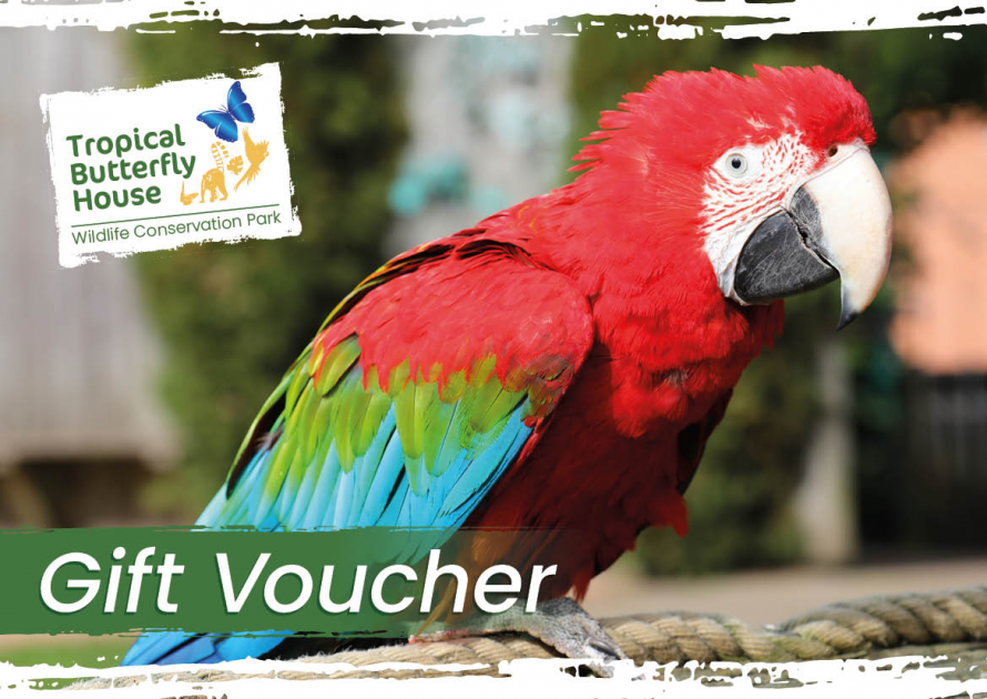 Gift Vouchers - Buy Online