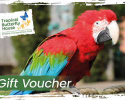 Tropical Butterfly House Gift Voucher