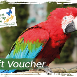 Tropical Butterfly House Gift Voucher