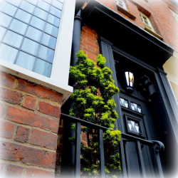 Visit 78 Derngate - Child (5-18)