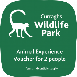 Animal Experience Voucher