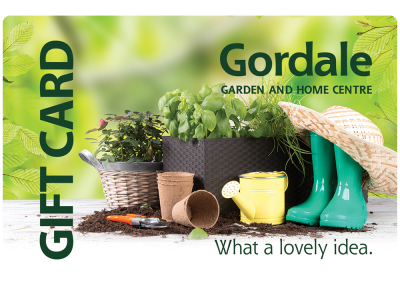 Gift Vouchers Buy Online