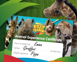 Giraffe feeding experience gift voucher for one person including day entry