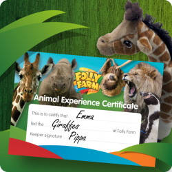 Giraffe feeding experience gift voucher for one person including day entry