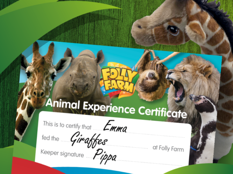 Gift Vouchers - Buy Online Gift Vouchers - Buy Online