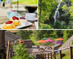 Prosecco Devonshire Cream Tea at Canonteign Falls