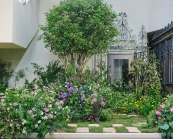 Couple Museum Entry Gift Voucher