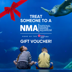 Digital Gift Voucher