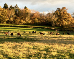 Hanging Out With The Gang - Family