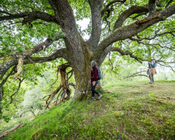Half Day Hike 2 - 4 Hours
