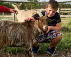 Junior Farm Keeper Experience