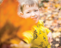 Child Admission (Aged 2-15)