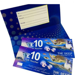 The Deep - Gift Voucher