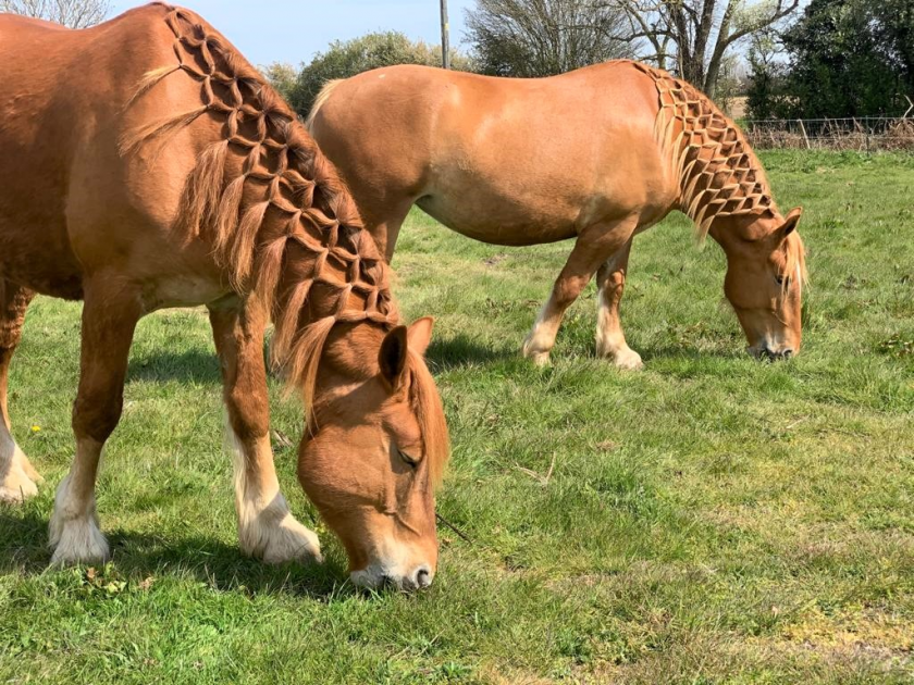 Gift Vouchers Buy Online