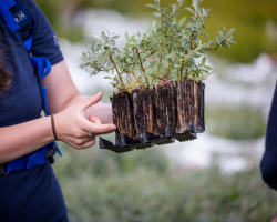 Tree Nursery Tour 1 Hour