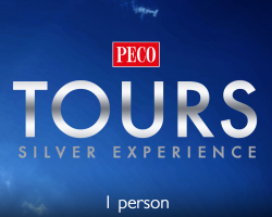 Silver Experience Gift Voucher