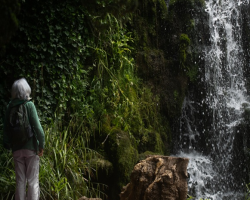 Gift Voucher - Senior (60+) 2026 Day Ticket to Bowood House & Gardens