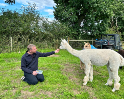 Alpaca Meet and Greet - Adult