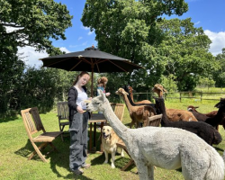 Alpaca EdU Workshop