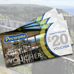 £20 Gift Voucher