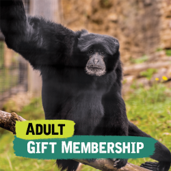 Adult Gift Membership