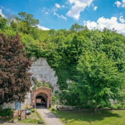 Tunnel Tours Adult Gift Voucher