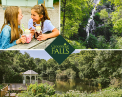 Canonteign Falls 1Adult + 2 Children Day Ticket