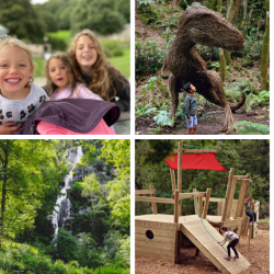 Canonteign Falls Family (2 adults + 2 Children 4-15) Day Ticket