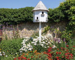 Concession Admission (Aged 60+)