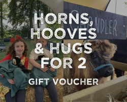Horns, Hooves & Hugs for 2