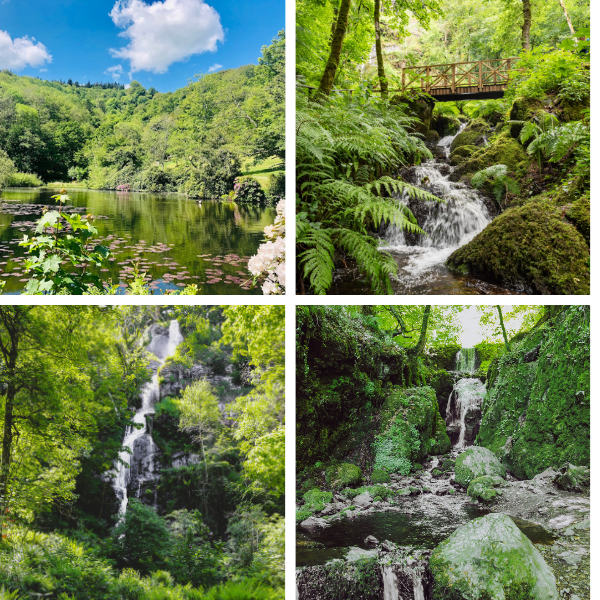 Buy Buy a Gift Voucher - give the gift of a day out with us Tickets ...