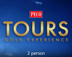 Gold Experience Gift Voucher