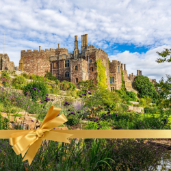 Concession Admission - Berkeley Castle Gift Voucher