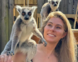 Lemur Encounter for 2 people GV