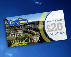 £20 Gift Voucher