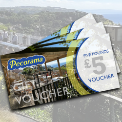 £5 Gift Voucher