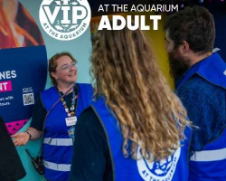 Gift Ticket - Behind the Scenes at The Aquarium Tour - ADULT