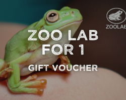 ZooLab at The Buffalo Farm for 1