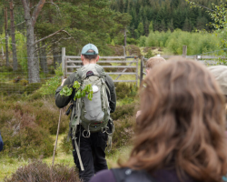 Half Day Hike 2 - 4 Hours