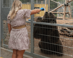 Bear Animal Experience Gift for Two People