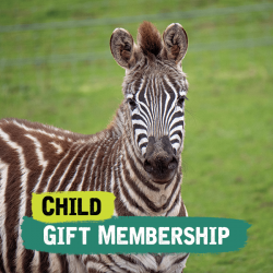 Child Gift Membership