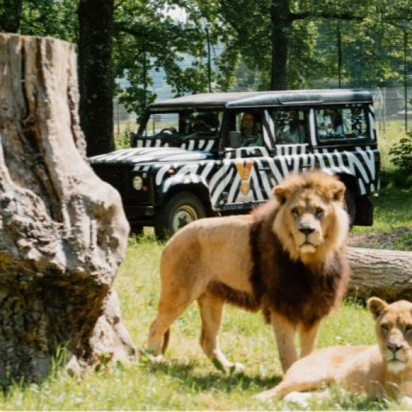 BRONZE VIP SAFARI TOUR VOUCHER