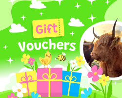 Gift Voucher