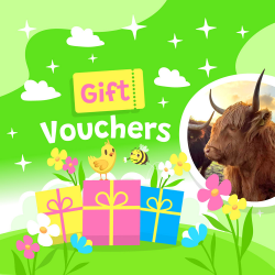 Gift Voucher