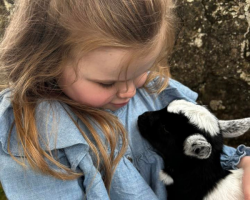 x2 for Goat Cuddles & Playtime