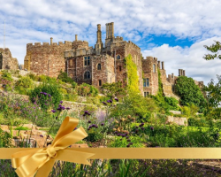 Guided Tour - Berkeley Castle Gift Voucher